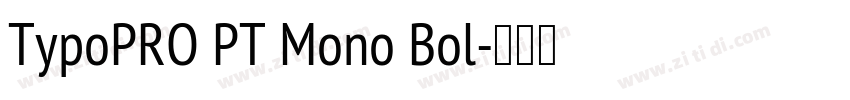 TypoPRO PT Mono Bol字体转换